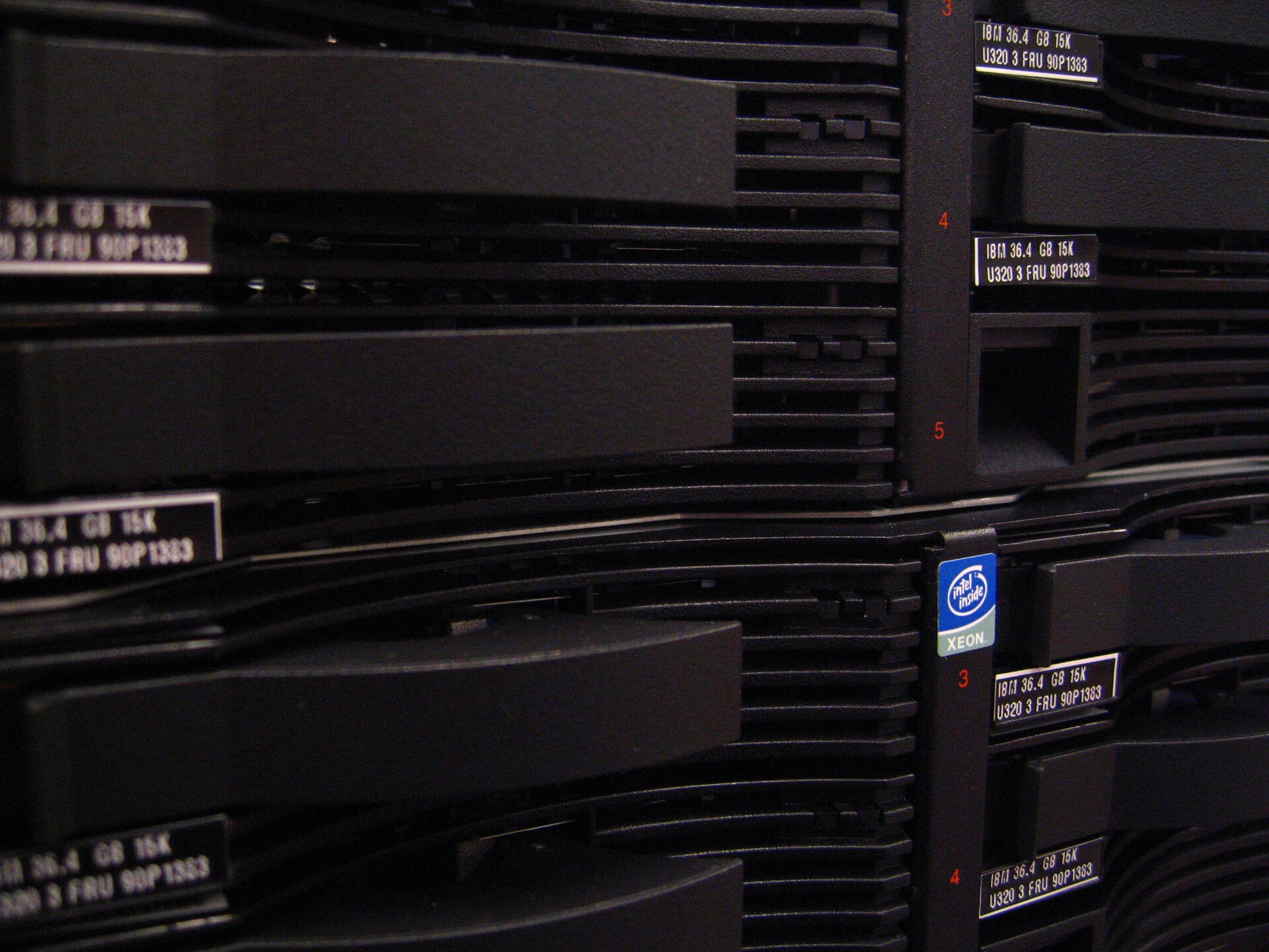 Close-up of hot-swap drive caddies in a rack server, each with a printed label.